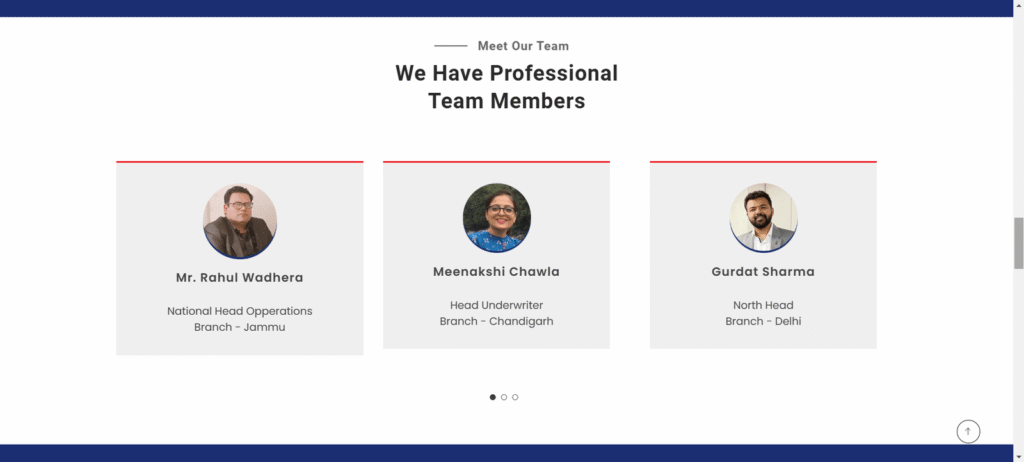 prosage bima company website design