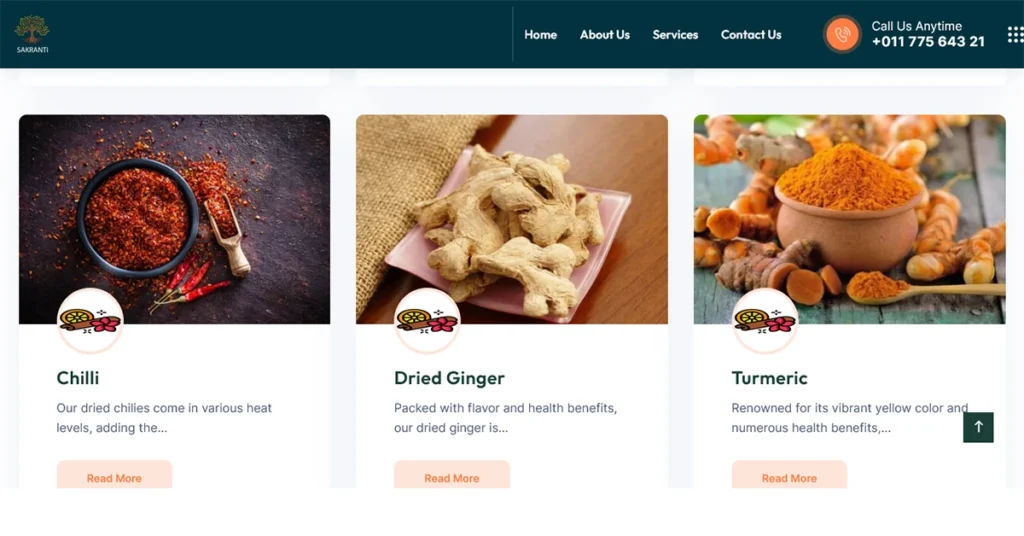 sakranti masale website design