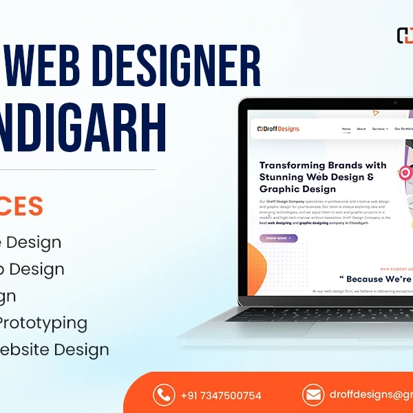 expert web designer form chandigarh