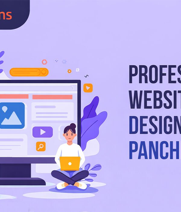 professional website designer in panchkula