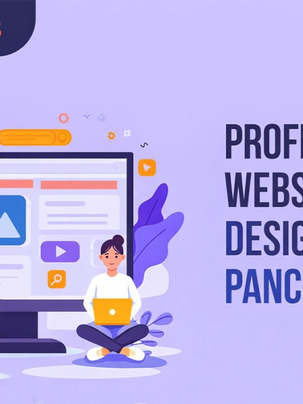 professional website designer in panchkula